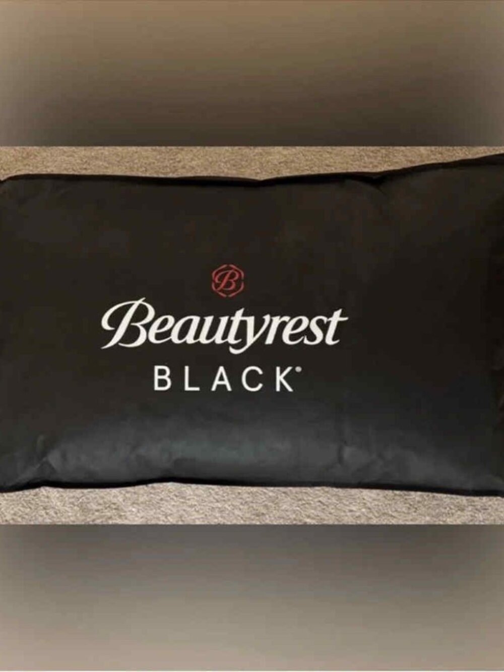 LAST CHANCEBEAUTYREST BLACK Luxurious 20x36 Down And Feather Blend Pillow